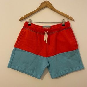 Men’s Chubbies USA Shorts